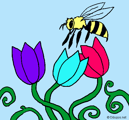 Abeja