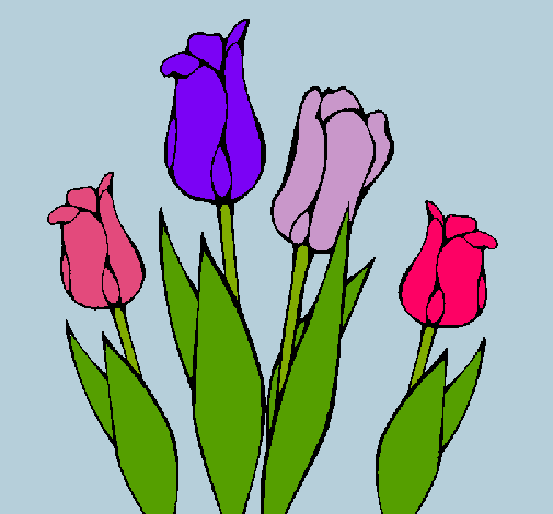 Tulipanes