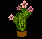 Dibujo Flores de cactus pintado por al3ida
