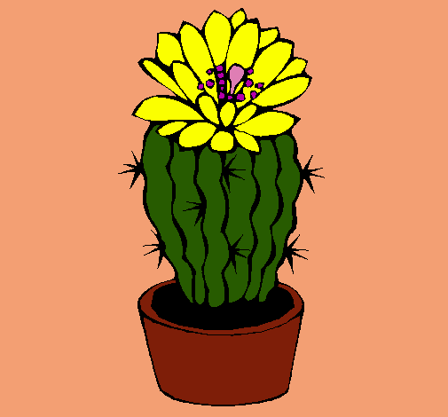 Cactus con flor