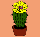 Dibujo Cactus con flor pintado por alexandraysteve