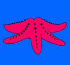 Dibujo Estrella de mar pintado por zuly