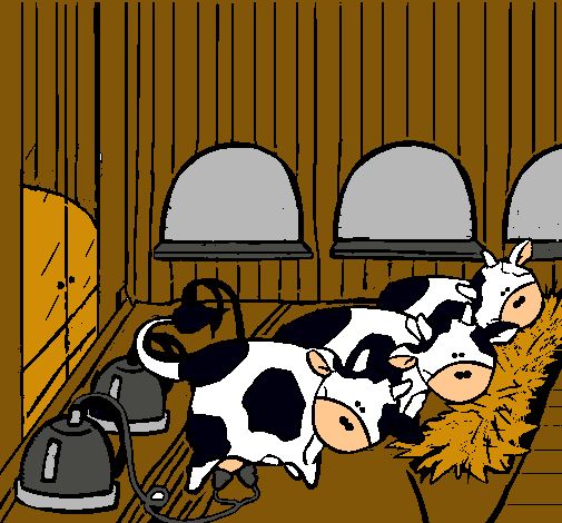 Vacas en el establo