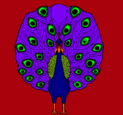 Pavo real