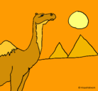 Dibujo Camello pintado por alvaro