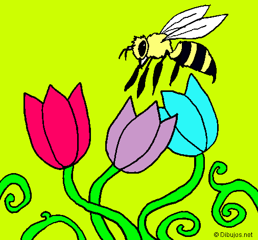 Abeja