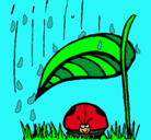 Dibujo Mariquita protegida de la lluvia pintado por LAIBAZAMAN
