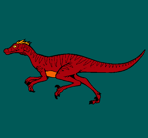 Velociraptor