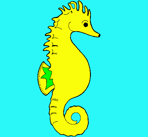 Caballito de mar