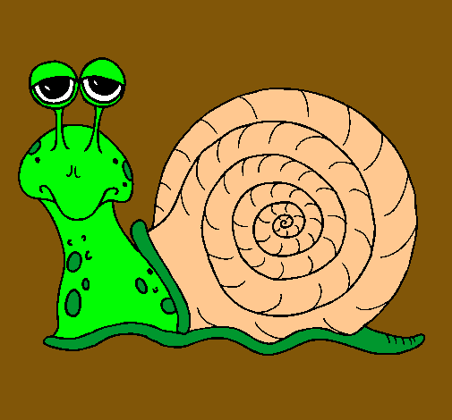 Caracol