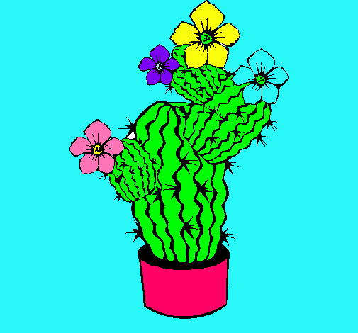 Flores de cactus