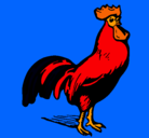 Dibujo Gallo gallardo pintado por xavier