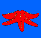 Dibujo Estrella de mar pintado por angui