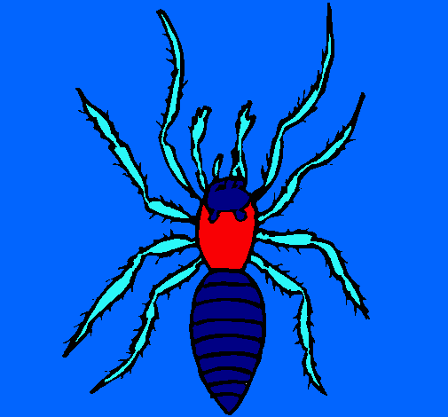 Araña tigre