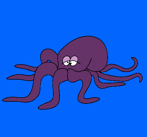 Pulpo