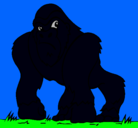 Dibujo Gorila pintado por esteban