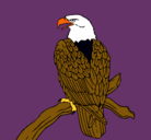 Dibujo Águila en una rama pintado por daniela