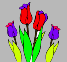 Dibujo Tulipanes pintado por zinniallanto