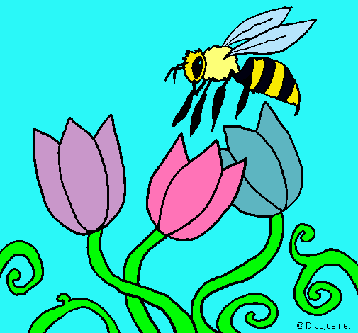 Abeja