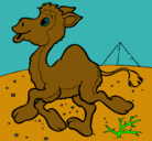 Dibujo Camello pintado por karen