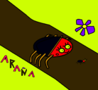 Dibujo Araña pintado por coco