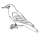 Dibujo Cuervo pintado por brigith