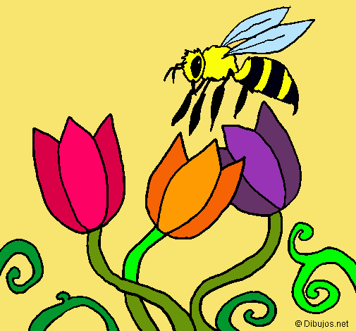 Abeja