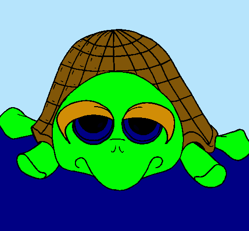 Tortuga