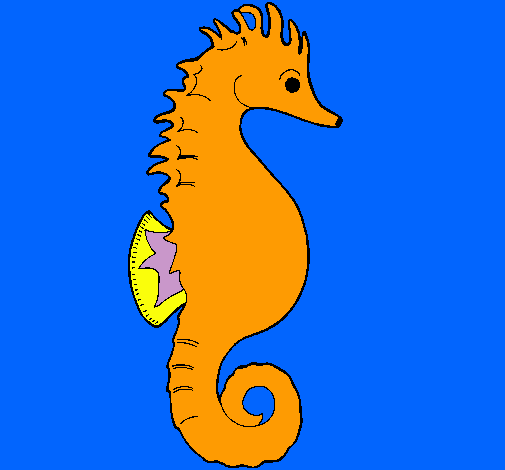 Caballito de mar