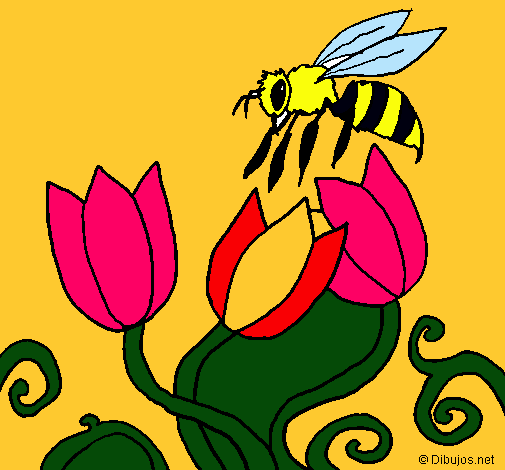 Abeja