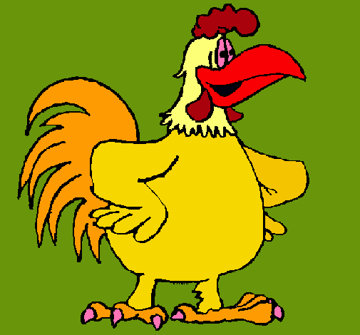 Gallo