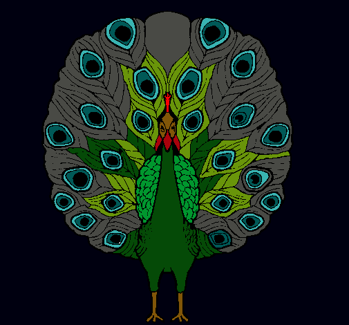 Pavo real