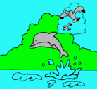 Dibujo Delfín y gaviota pintado por pumas