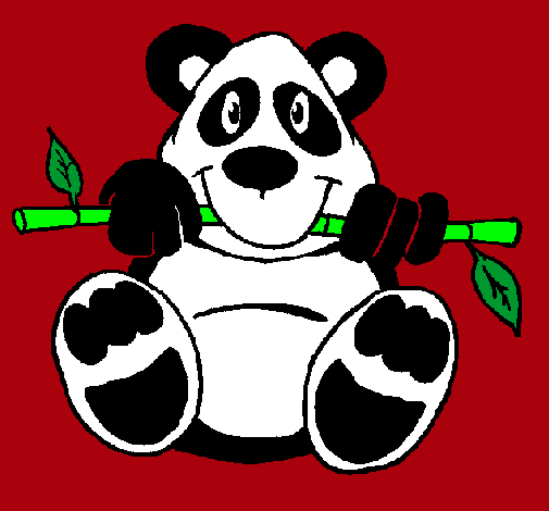 Oso panda