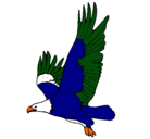 Dibujo Águila volando pintado por micaela