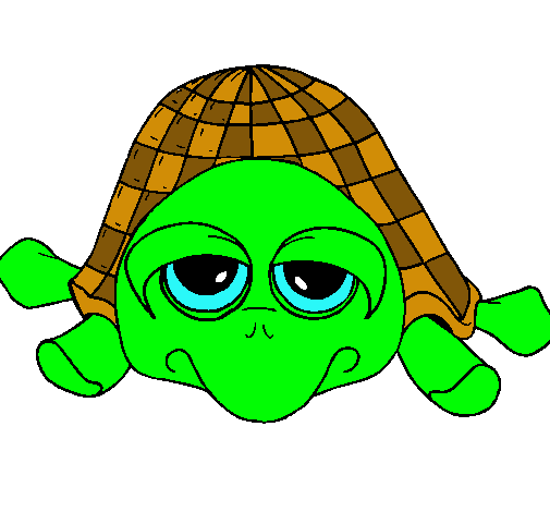 Tortuga