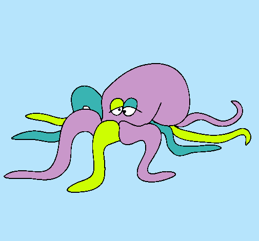 Pulpo