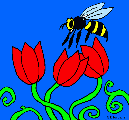 Abeja