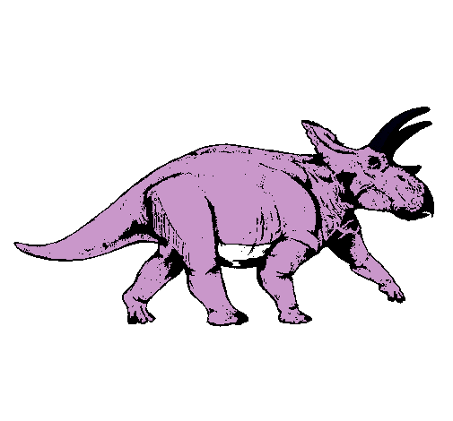 Triceratops