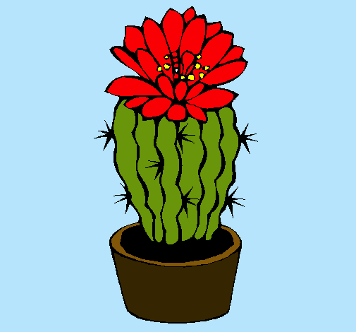 Cactus con flor