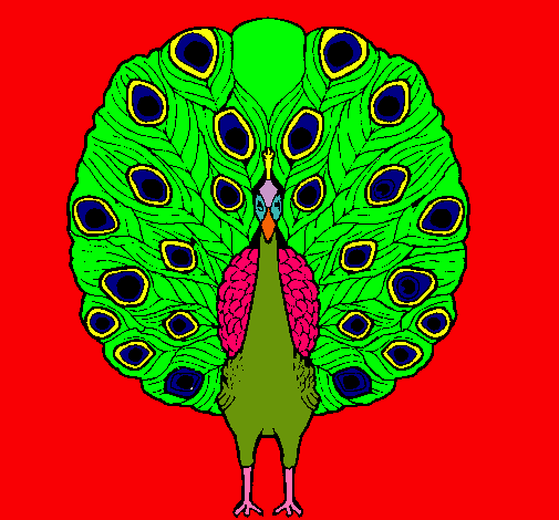 Pavo real