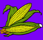Dibujo Mazorca de maíz pintado por boby