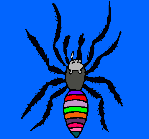 Araña tigre