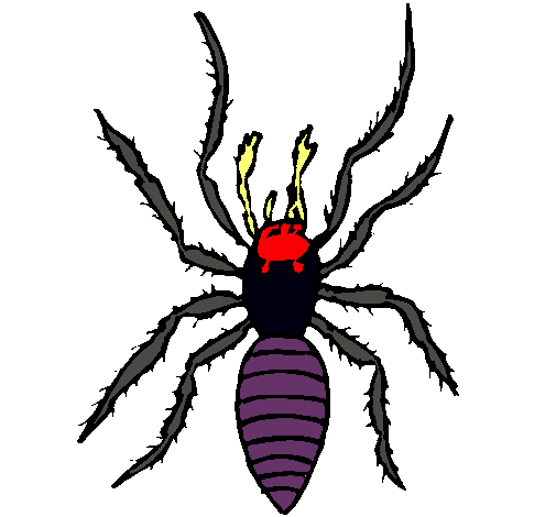 Araña tigre