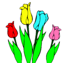 Dibujo Tulipanes pintado por Rogger