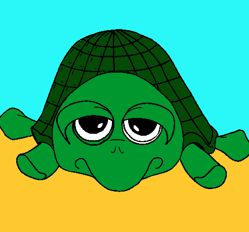 Tortuga