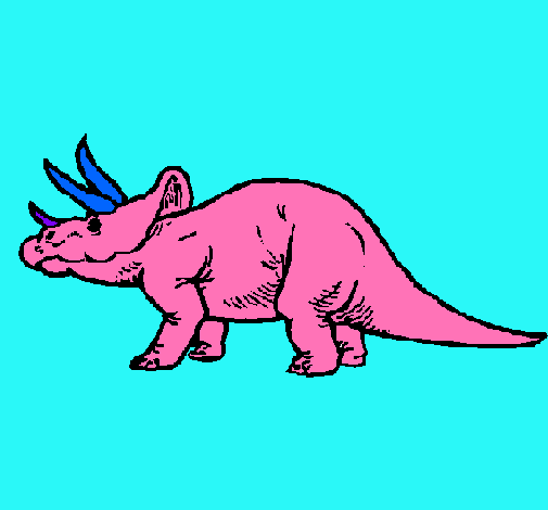 Triceratops