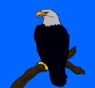 Dibujo Águila en una rama pintado por marrcs