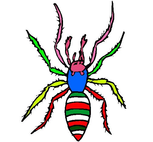 Araña tigre