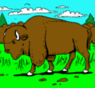Dibujo Búfalo  pintado por bisonte